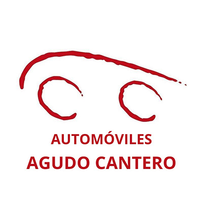 AGUDO MOTOR