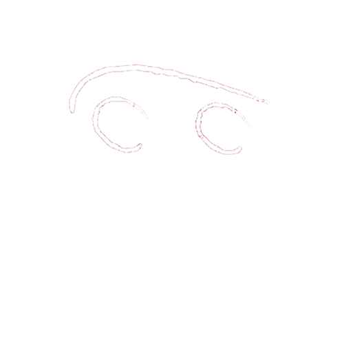 AGUDO MOTOR