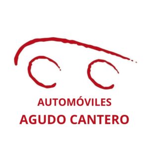 AC MOTOR